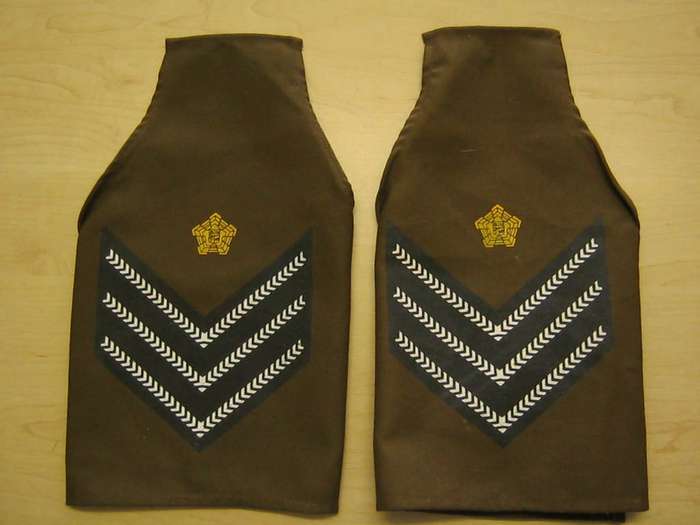 Set of SA Airforce rank brassards
